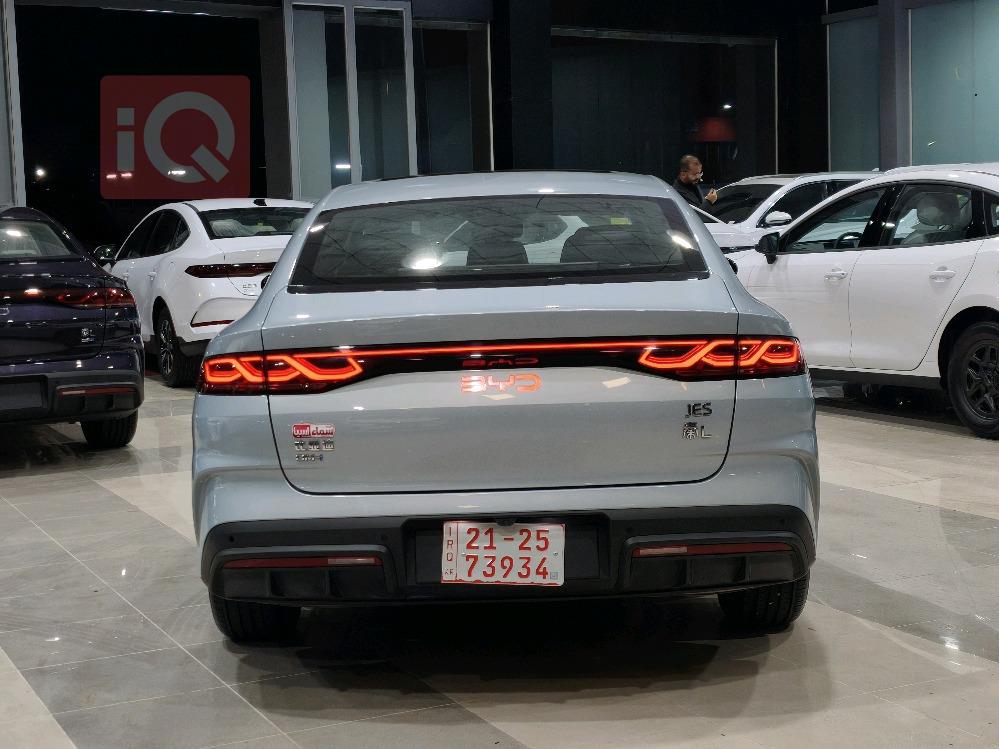 بي واي دي كوين L DM-i